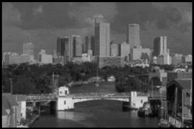 Historical general photograph of a view of Downtown Miami.